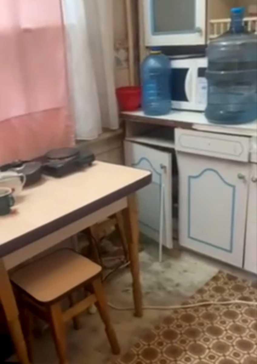 1877567643519981