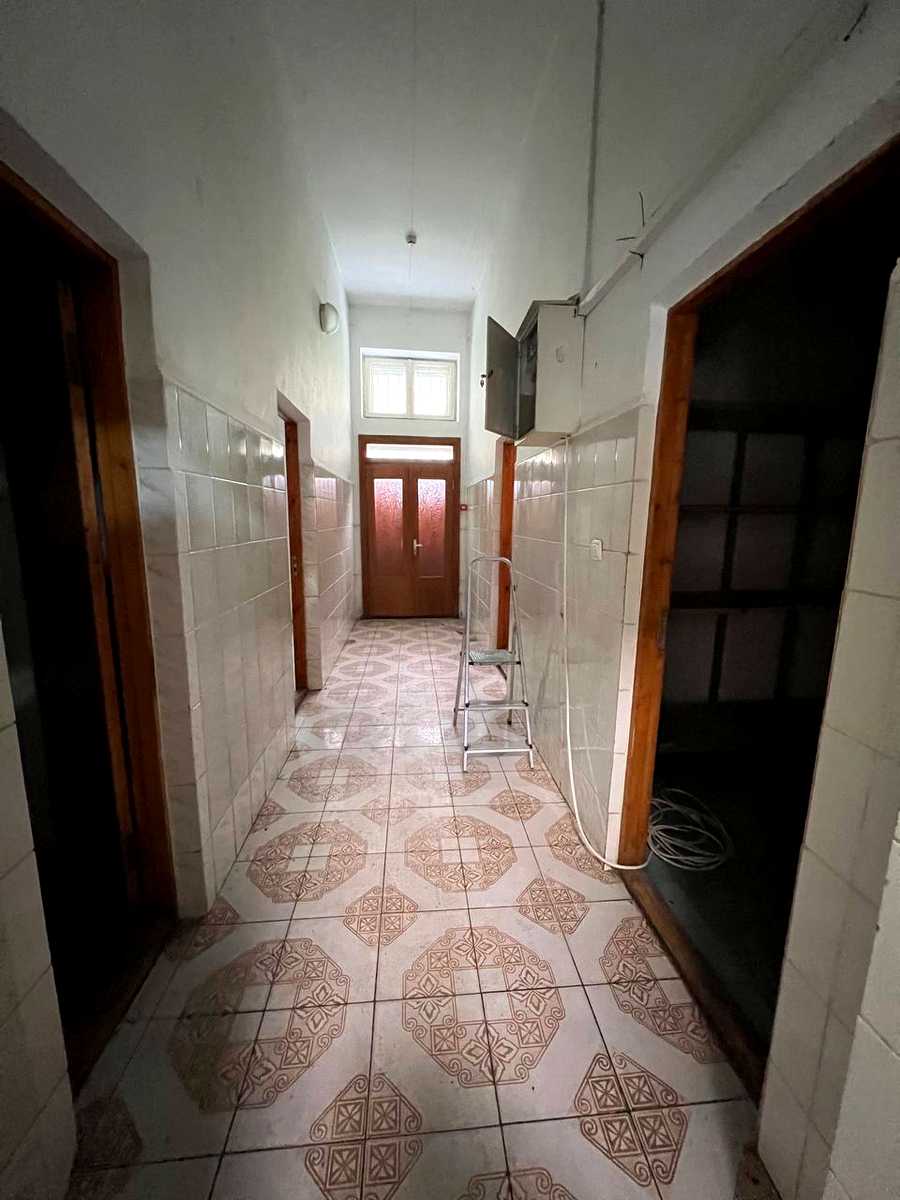 1877568028765899
