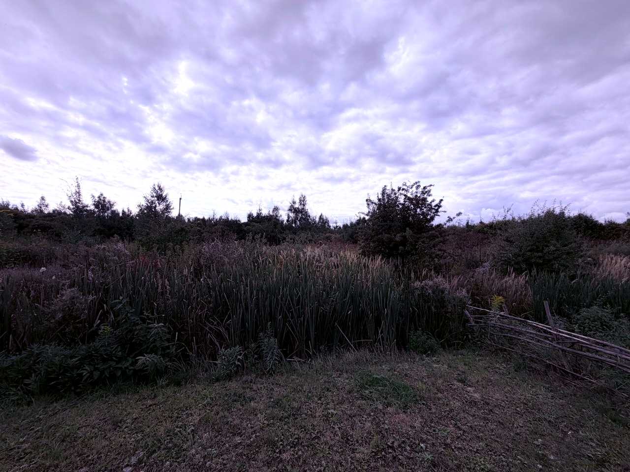 1877570338850254