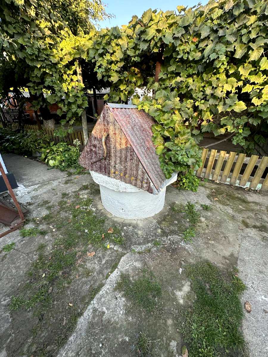 1877574872720337