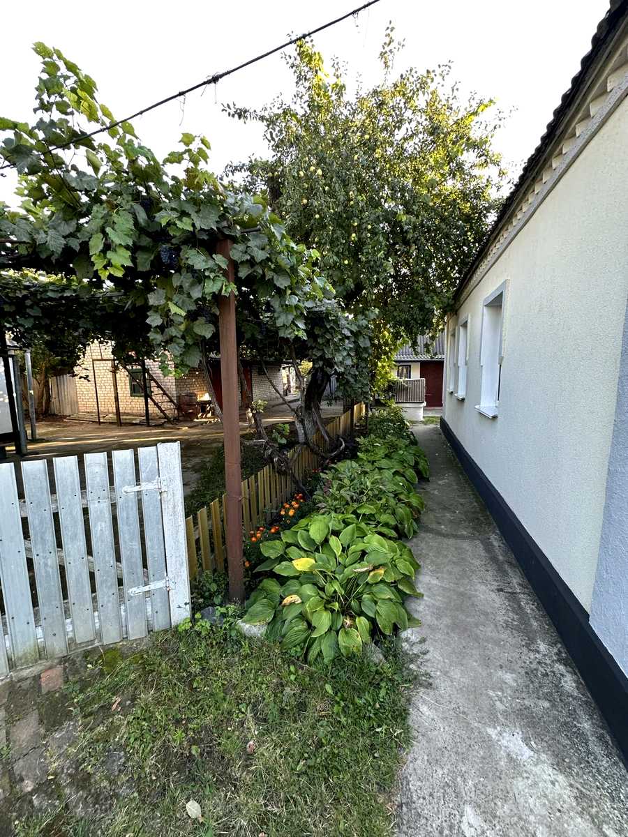 1877574874317488