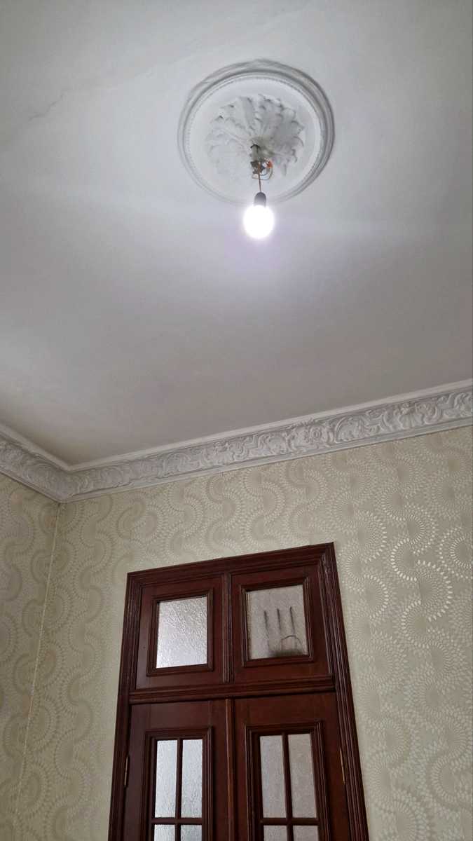 1877581661853332