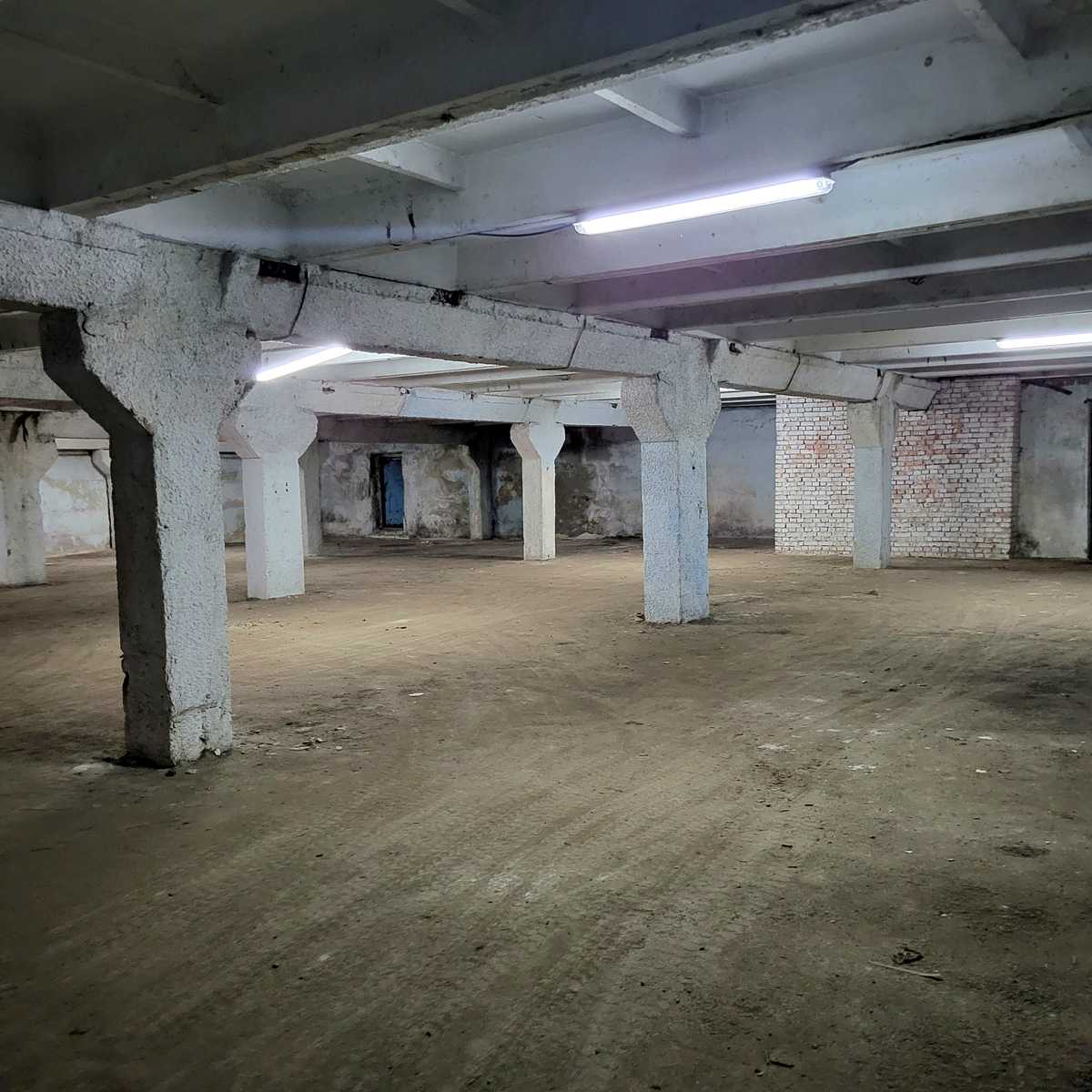 1877584128676644