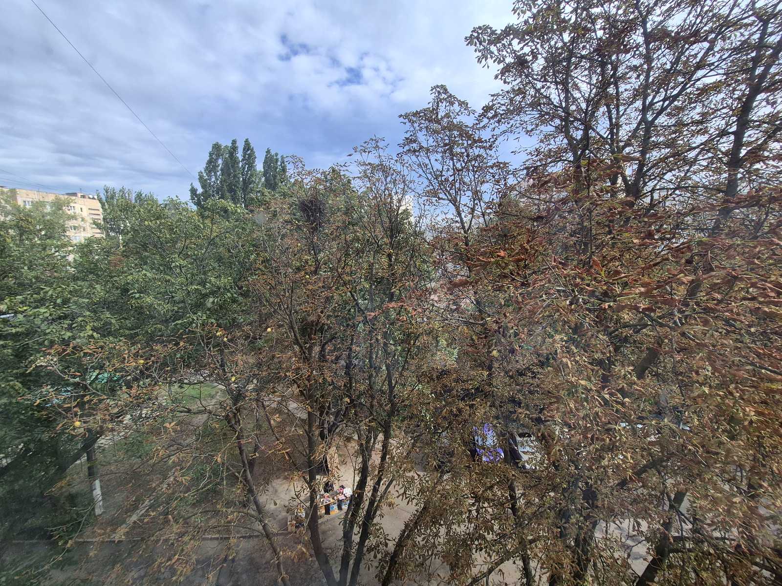1877591514351424