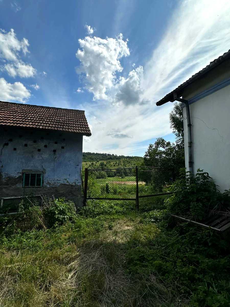 1877653751215231