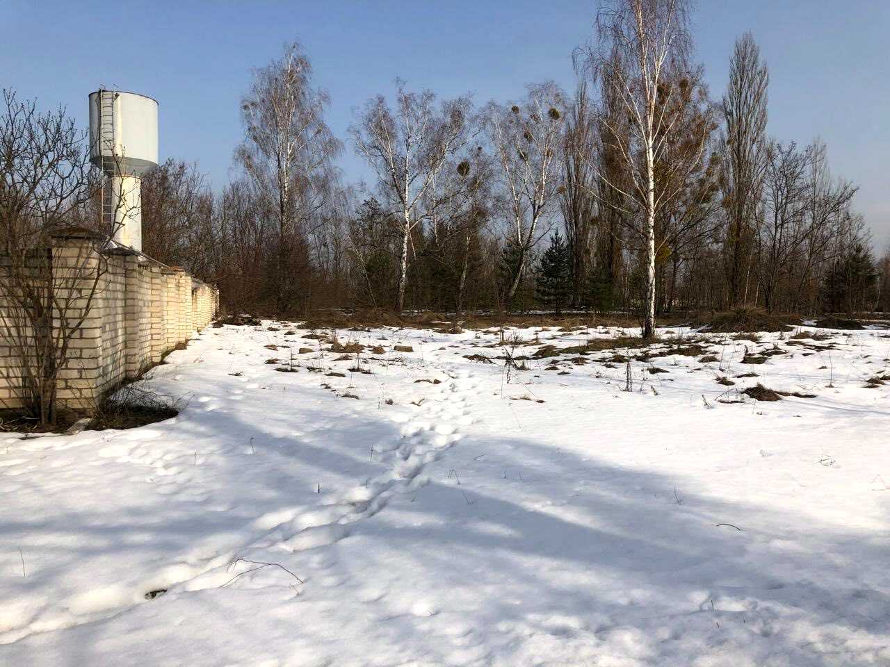 1877655085787975