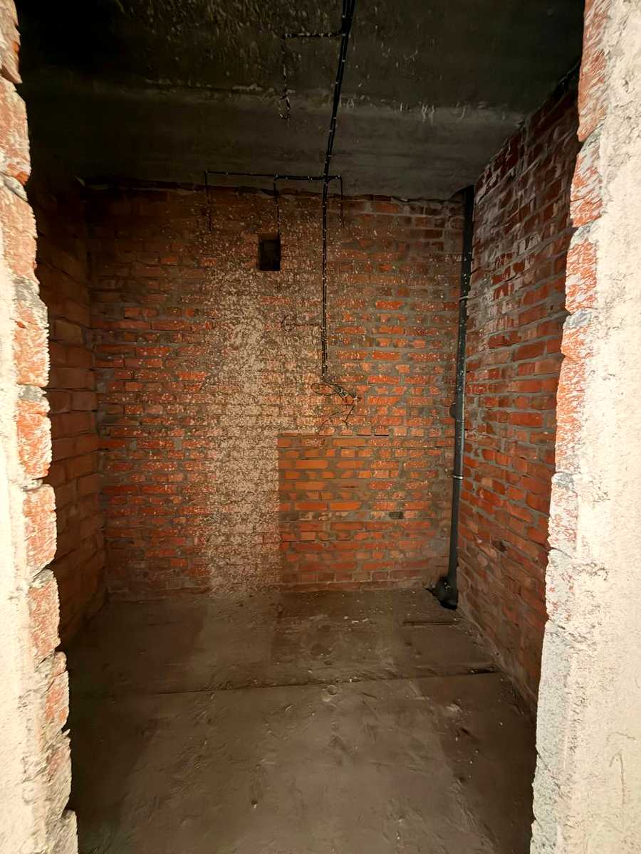 1877655394096630