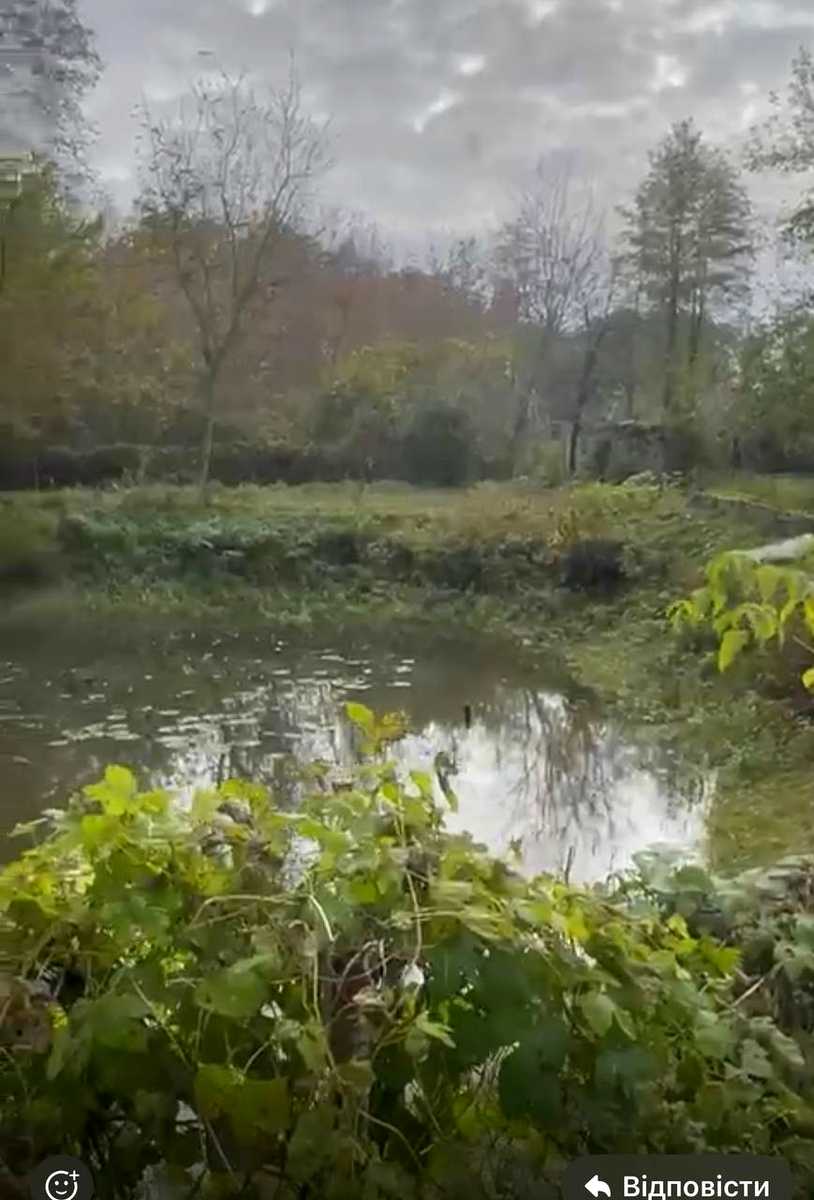 1877662046258661