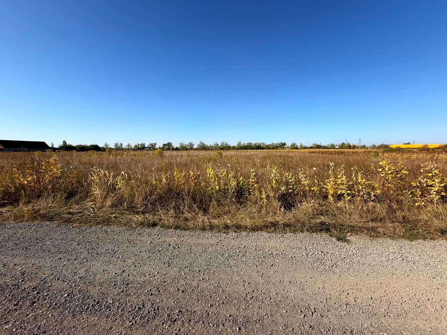 1877663538449123