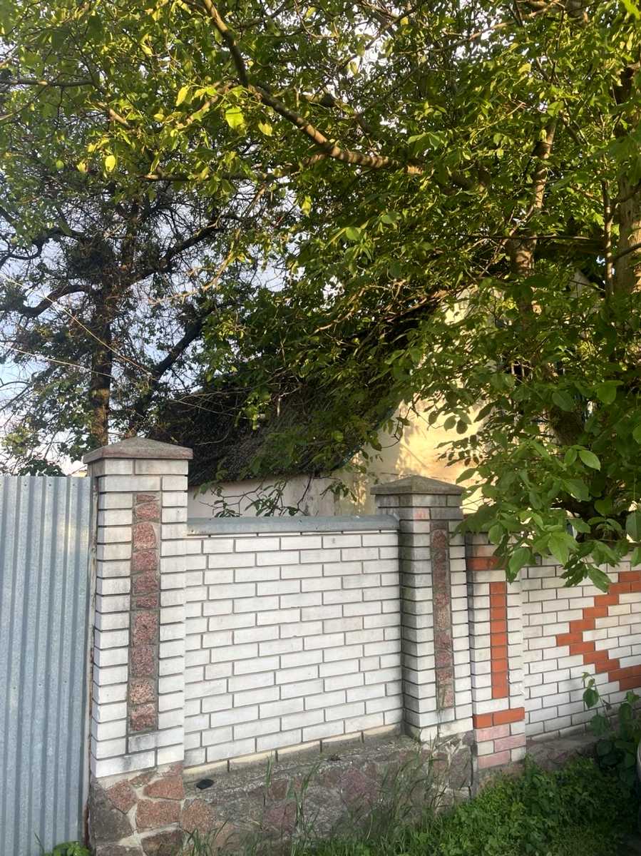 1877675113991084