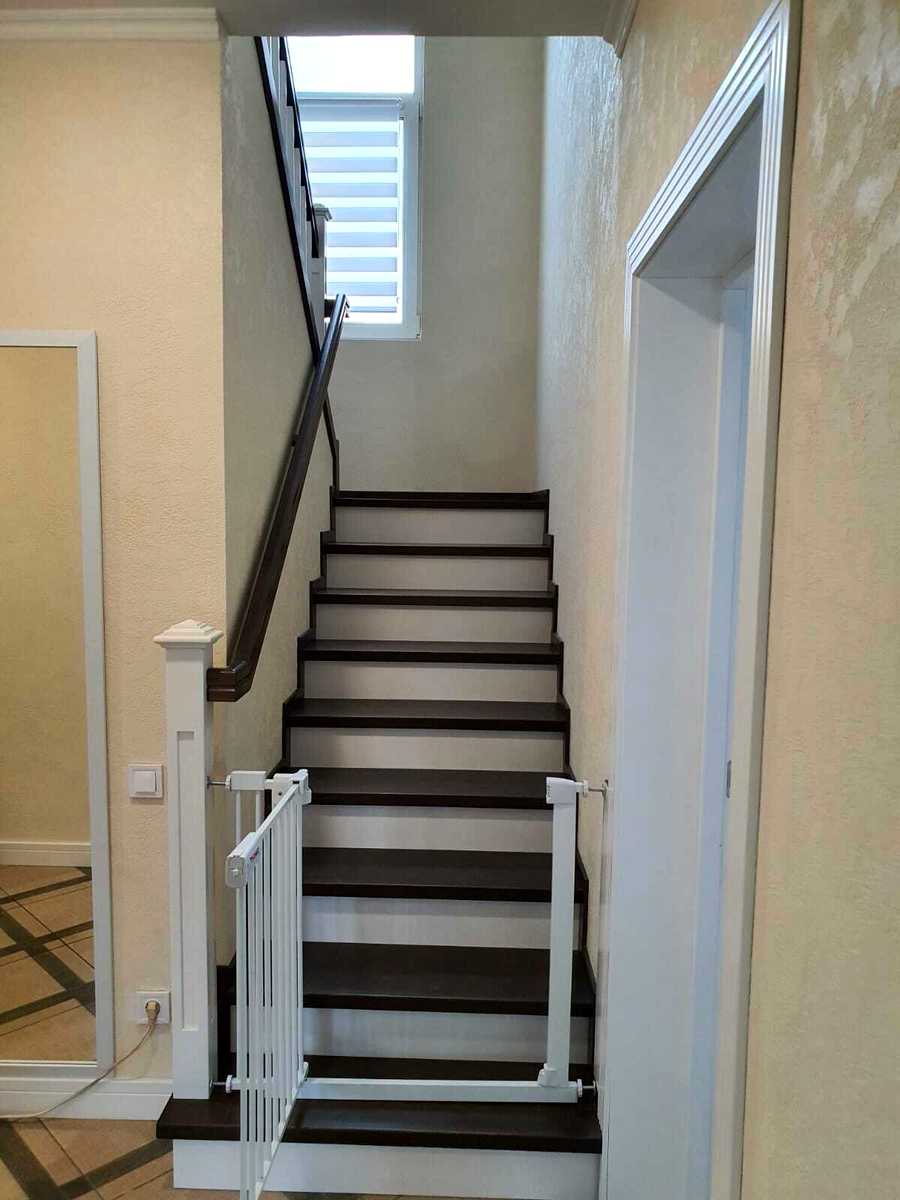 1877675858074381