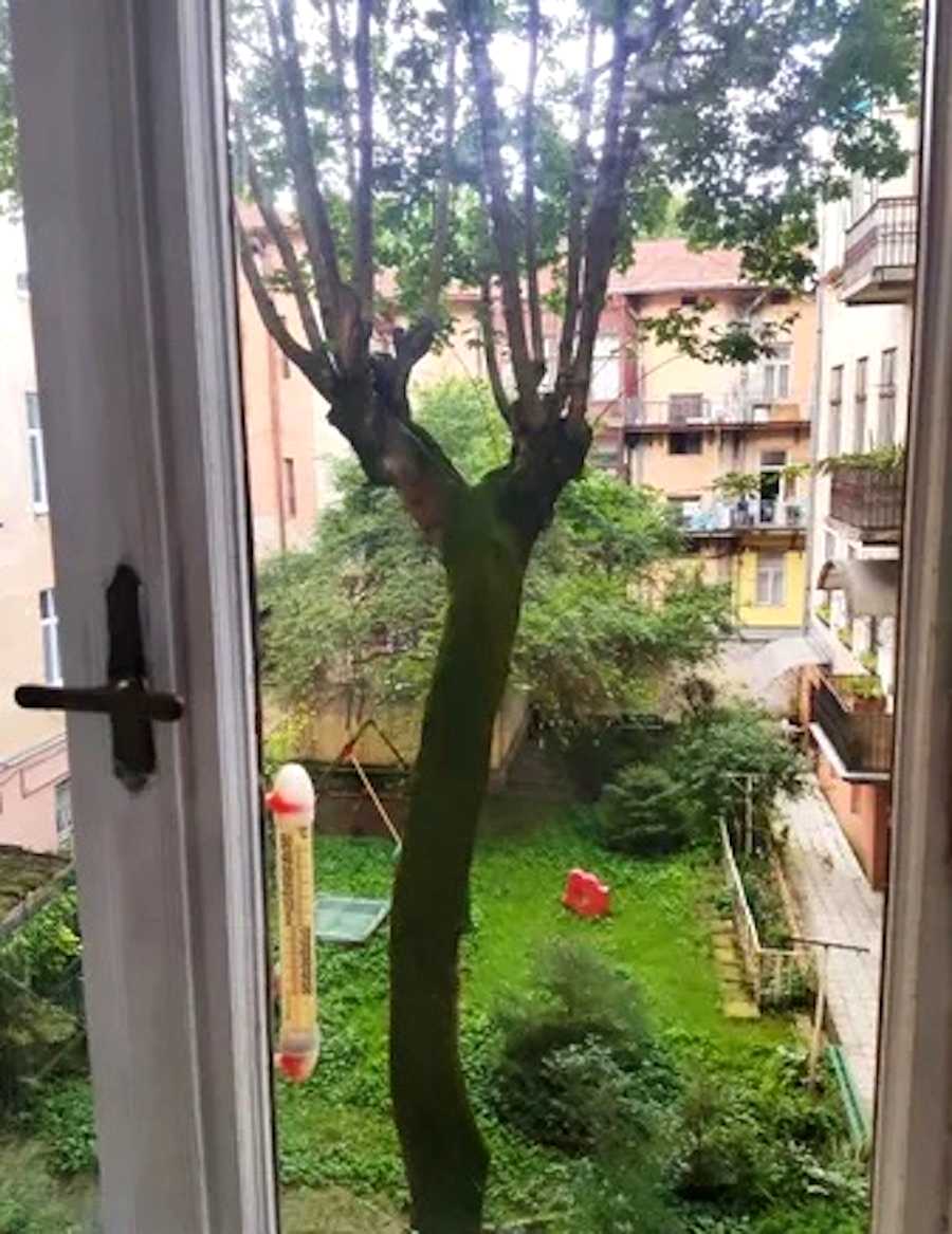 1877679764567420