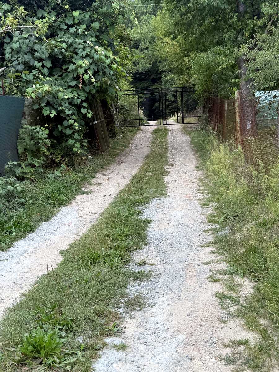 1877740205509781