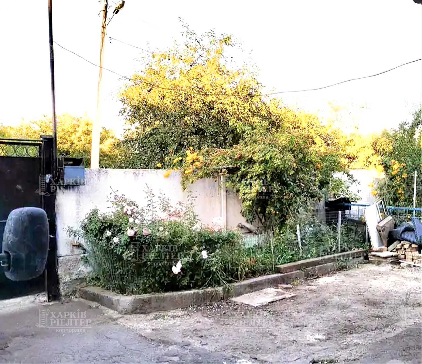 1877749630374384