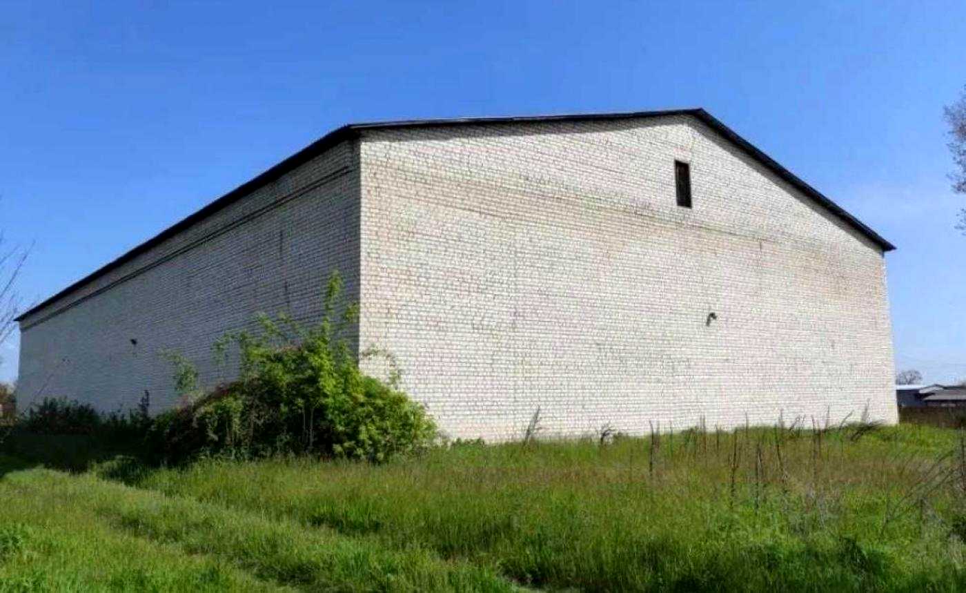 1877750942573286