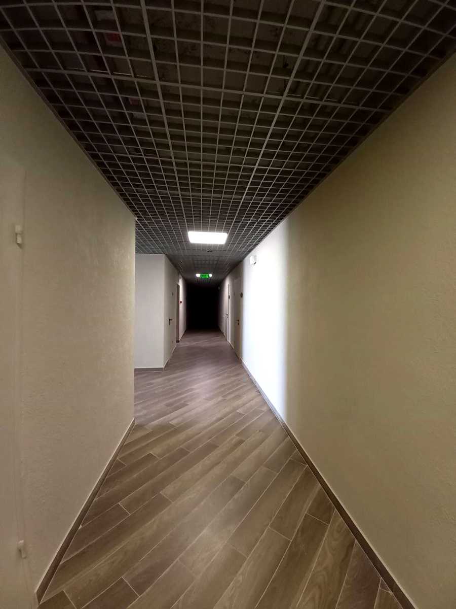1877753967695638