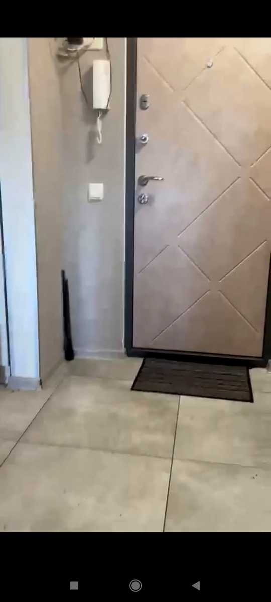 1877755936388747