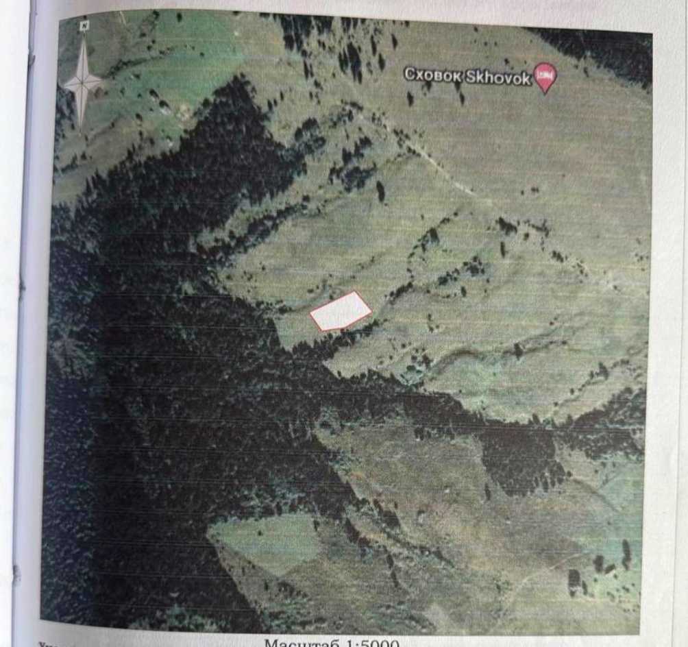 1877758603806348