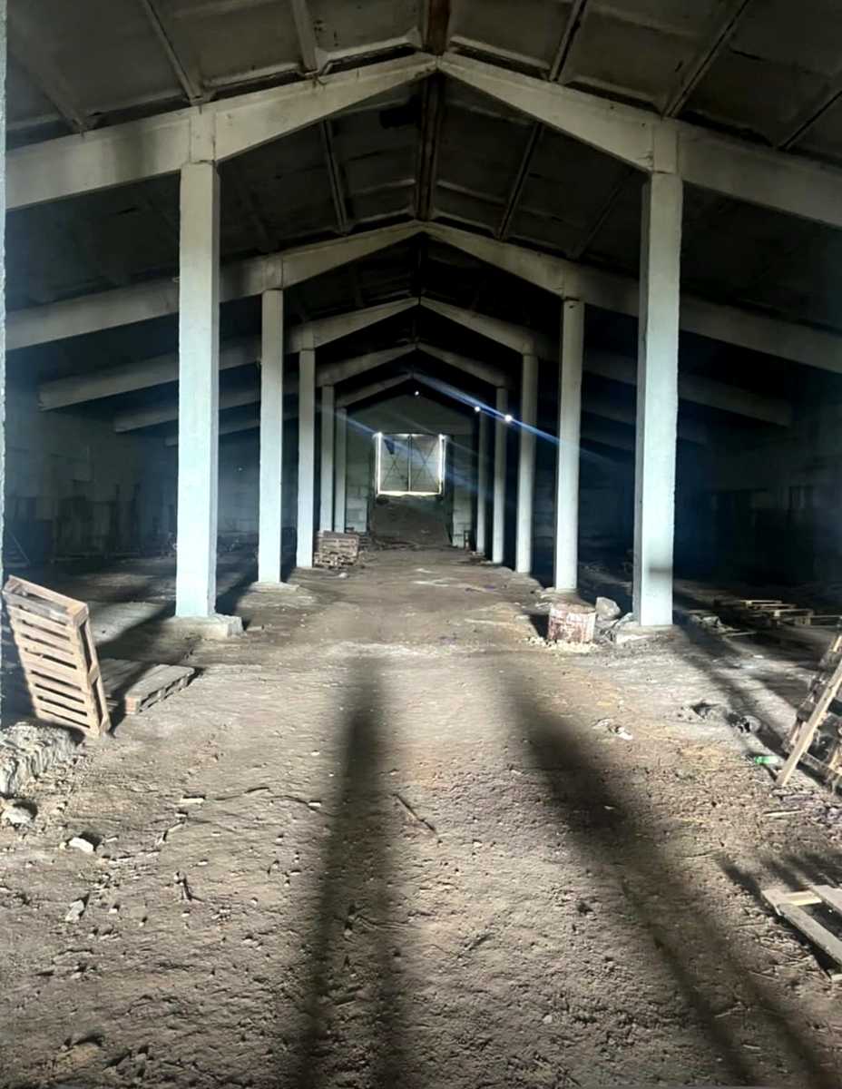 1877758683424034