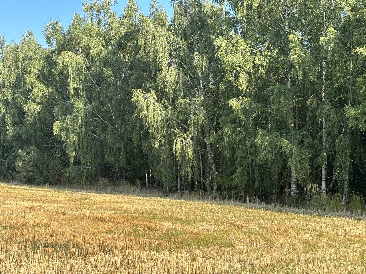1877761822333036