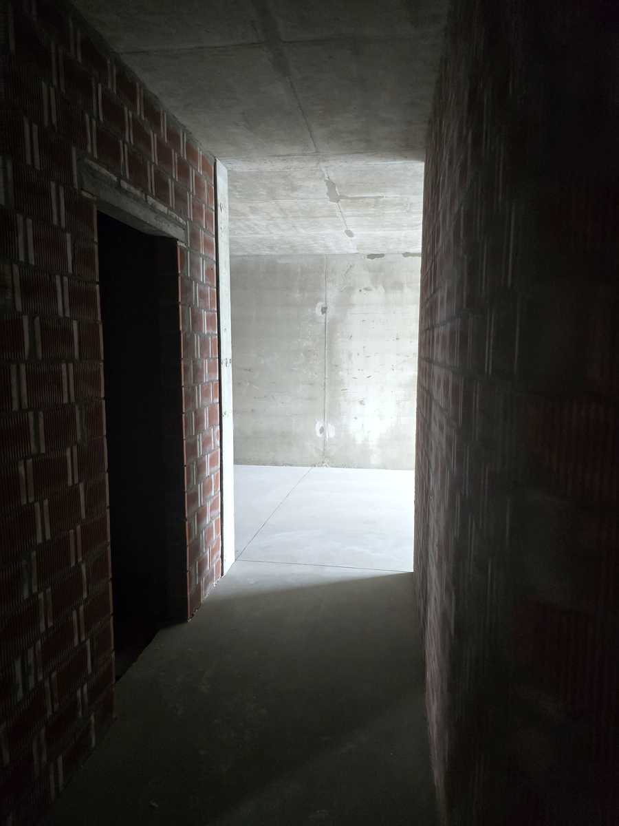 1877764456068843