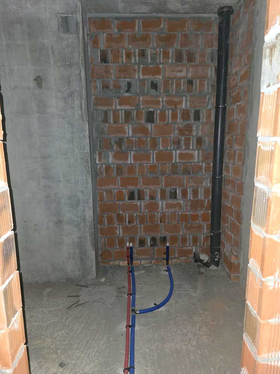 1877764456559556