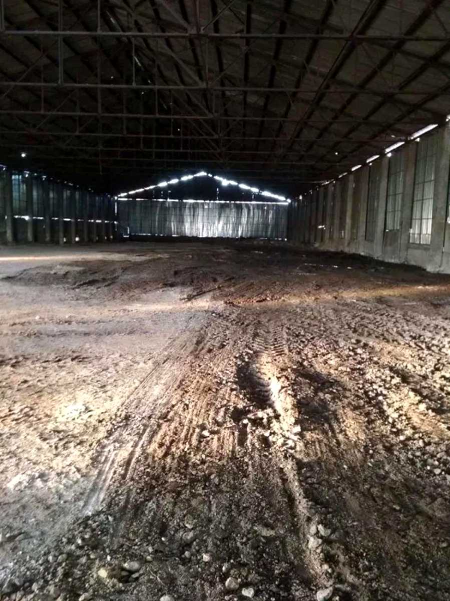 1877764554513936