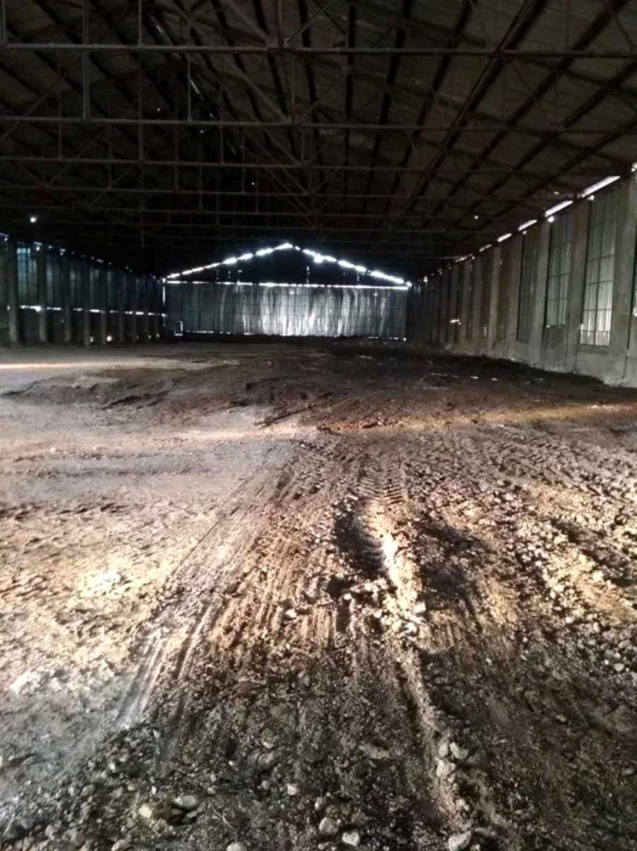 1877768436193517