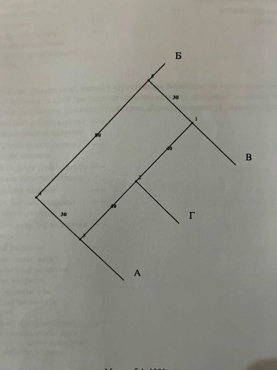 1877771005769544.jpg