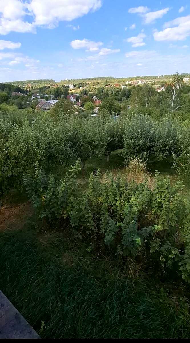 1877782473156972