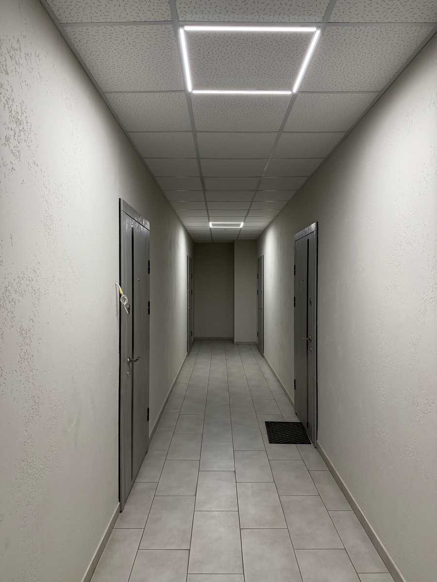 1877784541676938