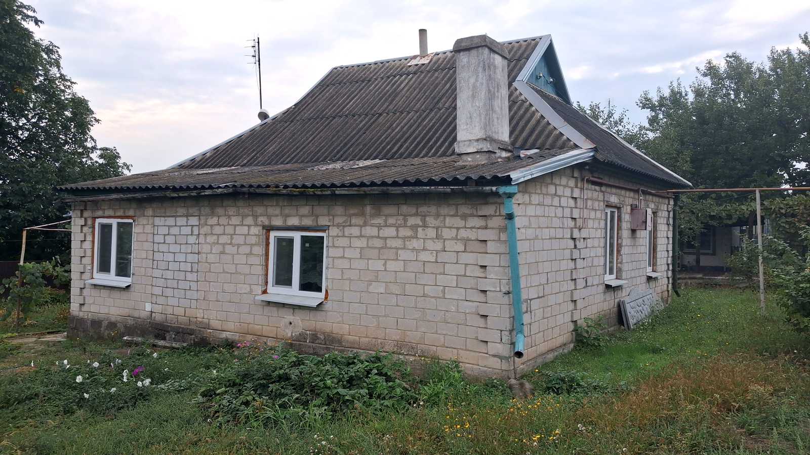 1877792866338763