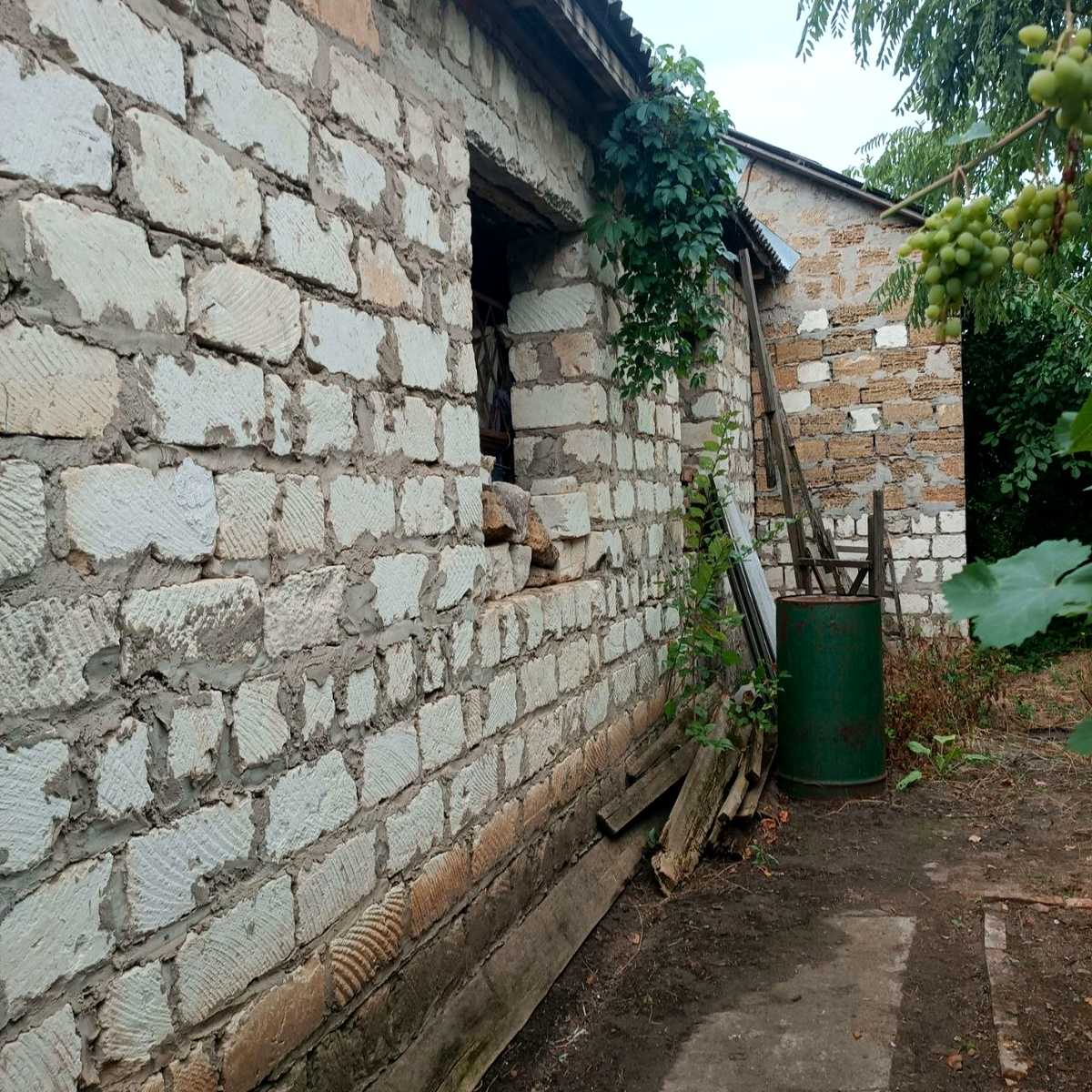 1877823876546961