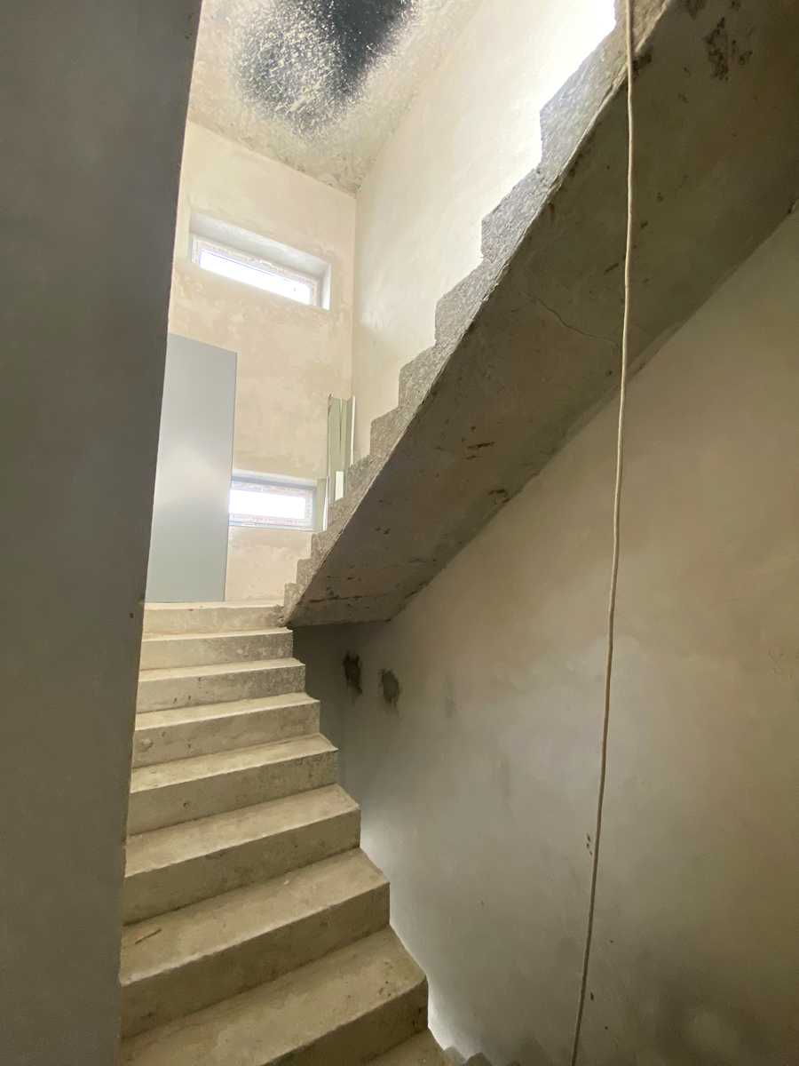 1877831131444602