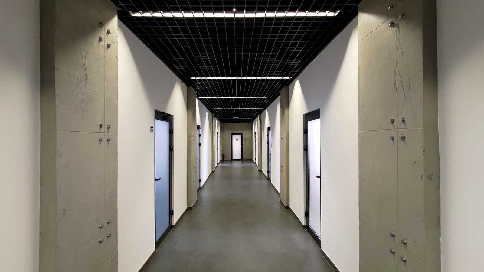 1877838700891907