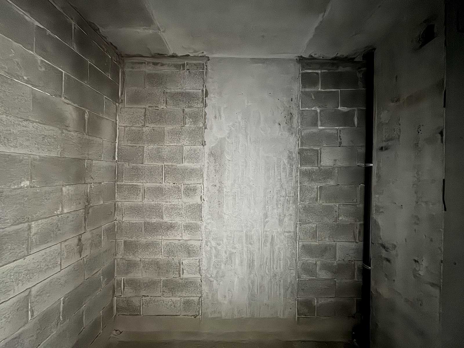 1877845341247843