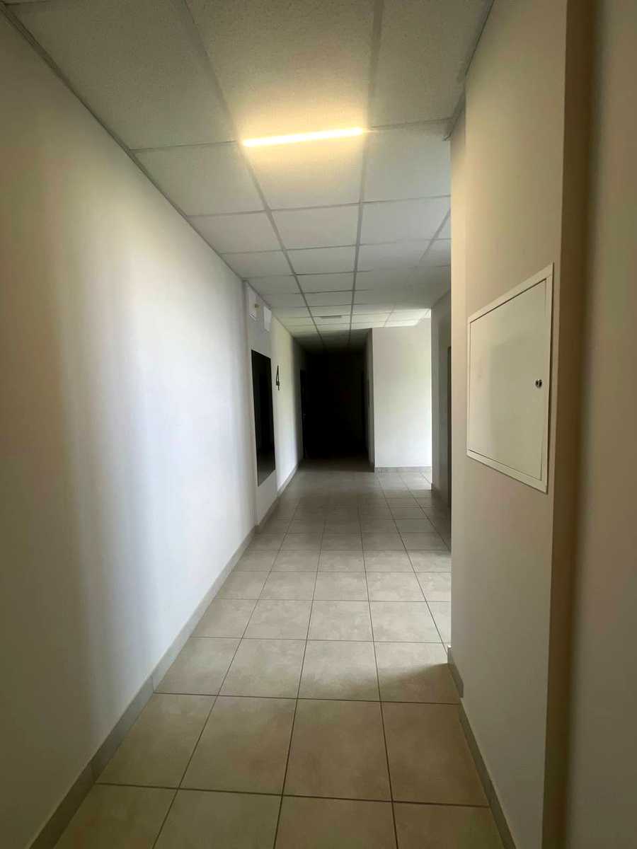 1877845670264464