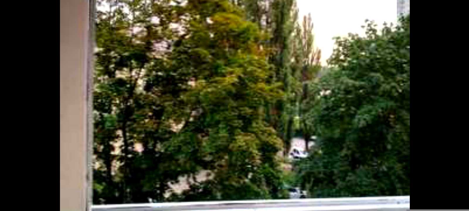 1877847539477521