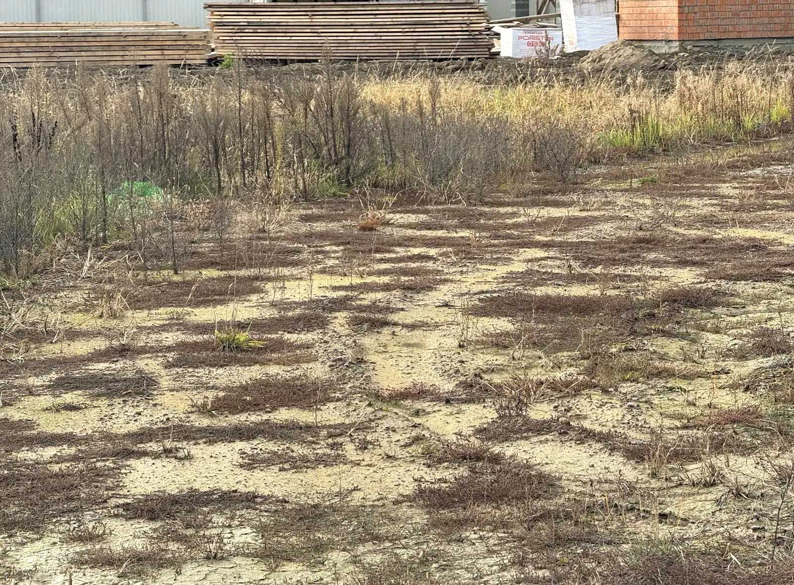 1877847571144059