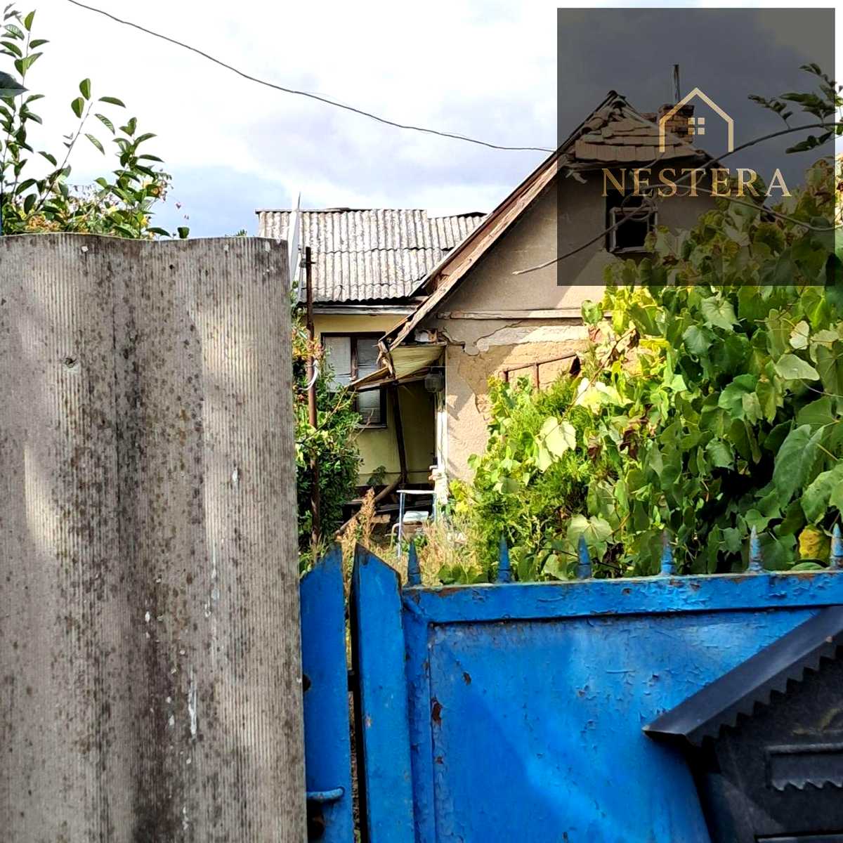 1877848930119485.jpg
