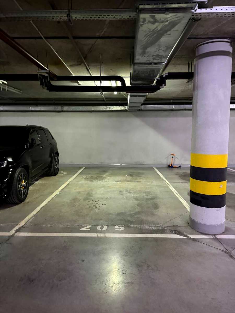 1877851279126305