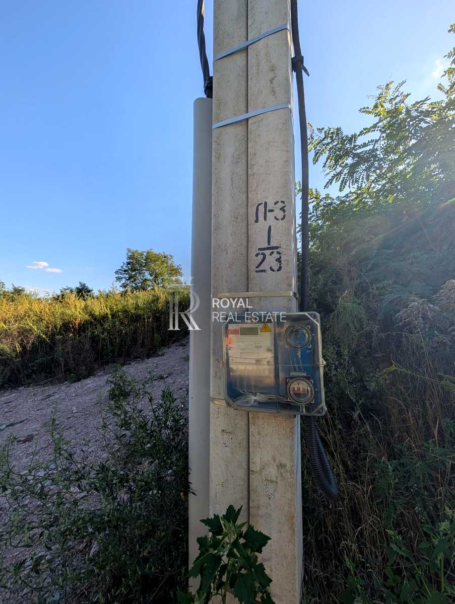 1877851768215971