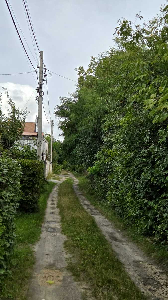 1877853546716156