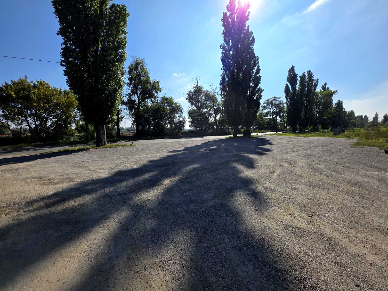 1877859684493677
