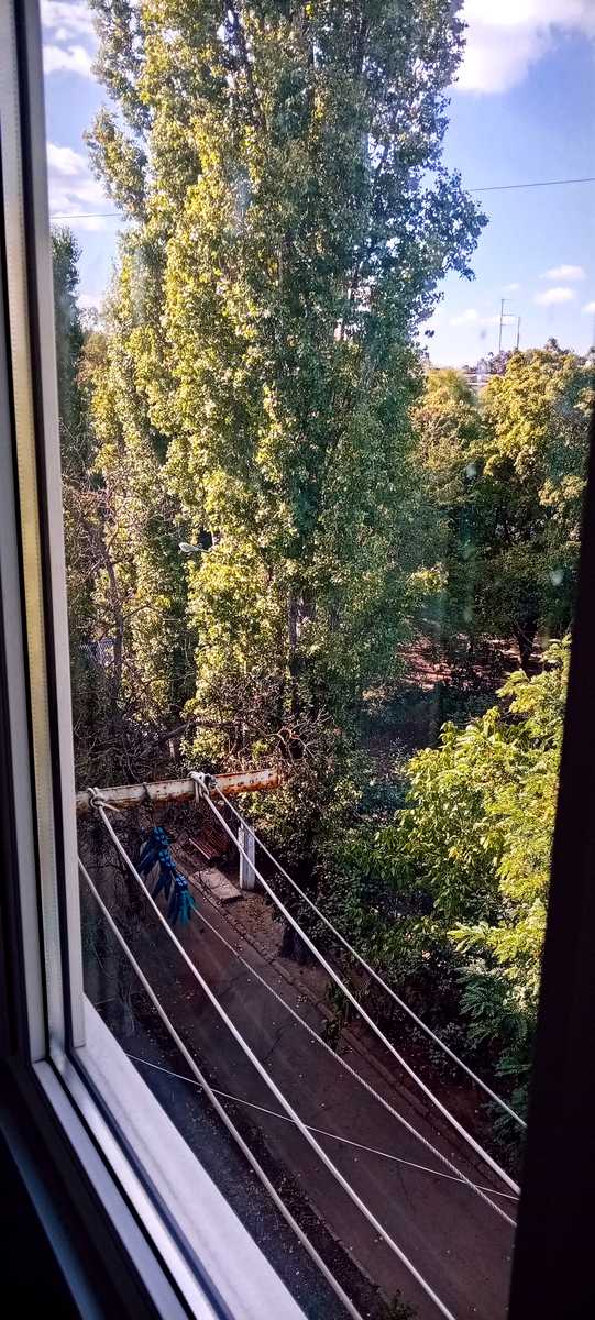 1877865165521159