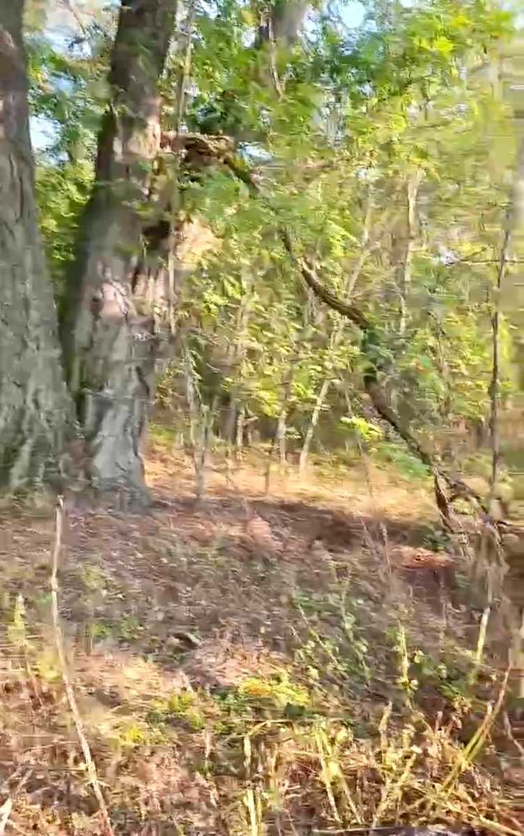 1877868114744062
