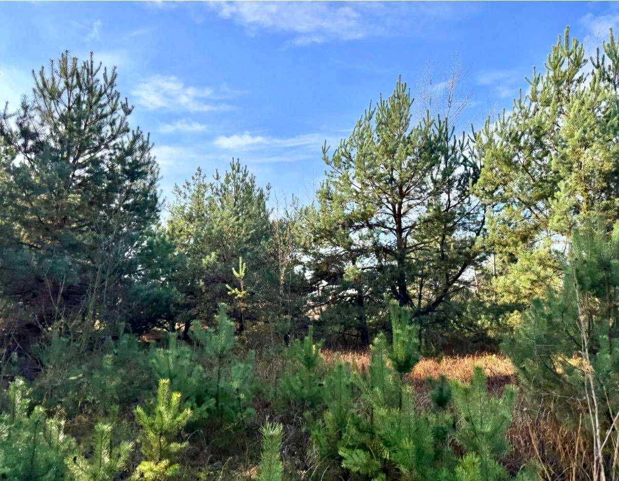 1877868617738243