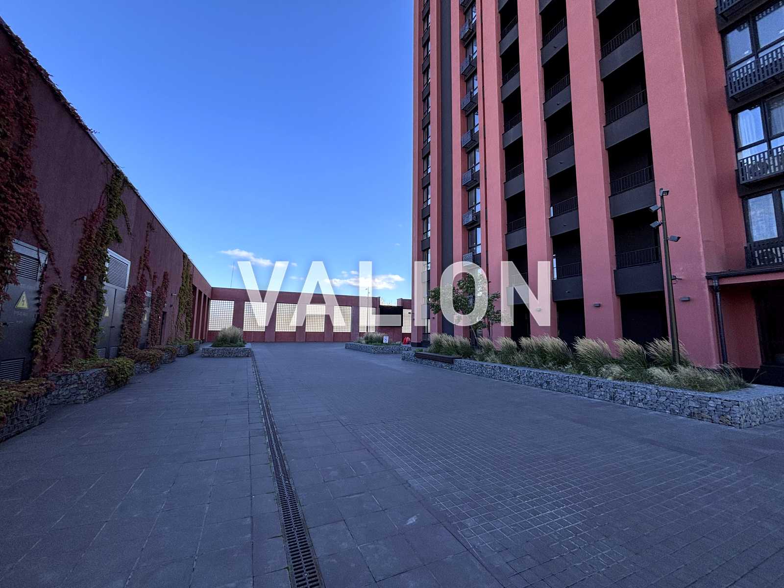 1877873346054026