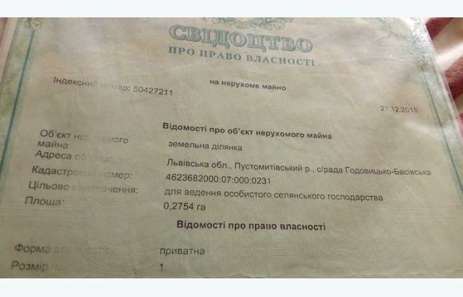 1877880326213989.jpg