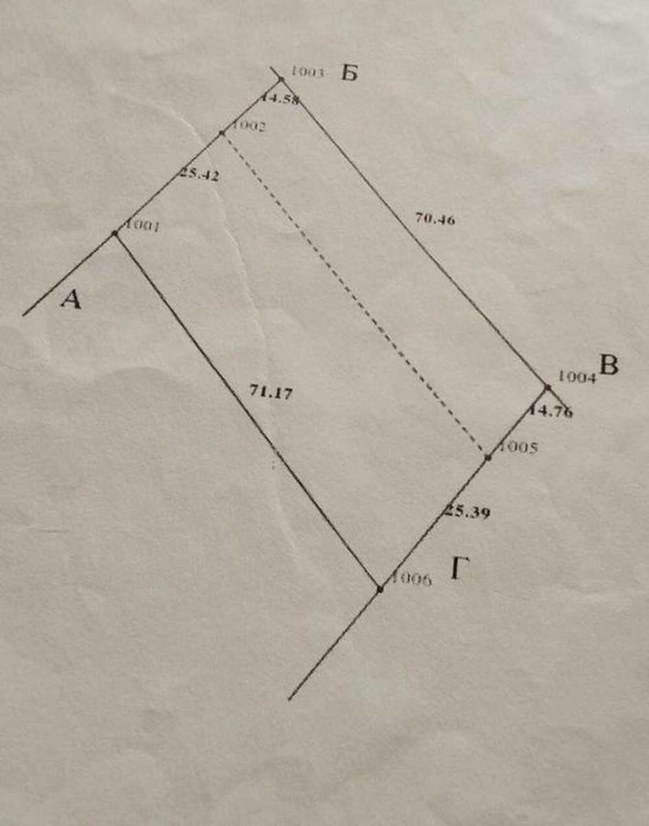 1877880326362374.jpg